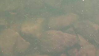 Guy jerking off in nature and fishing