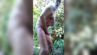 Piss Compilation by Request from a Fan