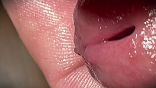 White cock is stroked to climax - 5 image