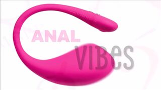 The 10 Holiday Vibes 2 Bonus - 3 image