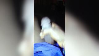 Best video of the month - 3 image