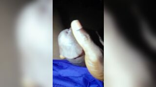 Best video of the month