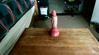 DRAGON DILDO RIDE CLOSE UP