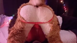 Slutty Fox is on the Naughty List