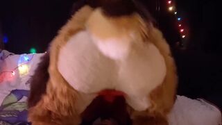 Slutty Fox is on the Naughty List