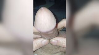 Close-up of an acorn