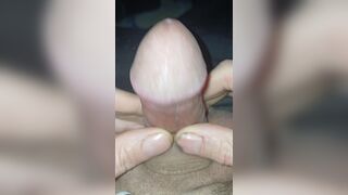 Close-up of an acorn