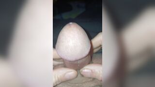 Close-up of an acorn