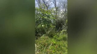 Blonde babes Novin Carioca & Jhulian Moura get their asses pounded raw on the beach by a massive black cock