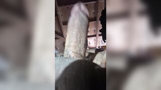 Tony73528's morning solo jerk is a hot Latino amateur's dream come true