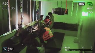 Rio's carnival orgy with bareback bareback anal, blowjobs, and wild bareback bareback bareback sex!