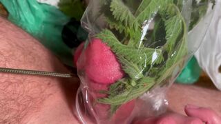 Naughty teen slave gets a hot cumshot after intense CBT insertion and sounding - 9 image