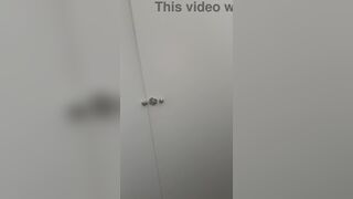 Wesley Ventura pounds a big black cock in a public restroom at the mall