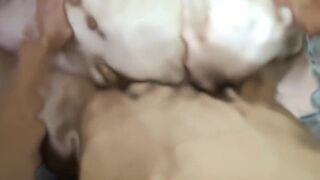 Bruno Pesao Sp & friends share a steamy threesome with a creampied bear - 12 image