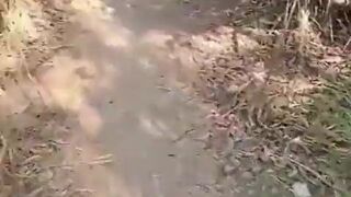 Luccas Melo, Kinholiver, Bitchmansp, and Bob Willian take on a wild public bareback orgy with V - 1 image