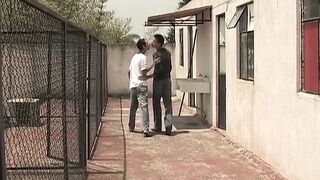 Latin Twinks Hernan and Hernando Fuck - 1 image