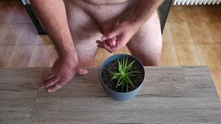 Cicci77 feeds her plants with pee and sperm to make them luxuriant! It is a shame to waste our precious organic liquids! - 14 image