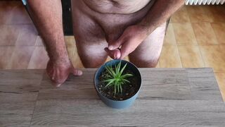 Cicci77 feeds her plants with pee and sperm to make them luxuriant! It is a shame to waste our precious organic liquids! - 5 image