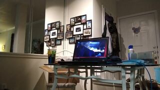 20220707 I am enjoying my under my desk that I just made!