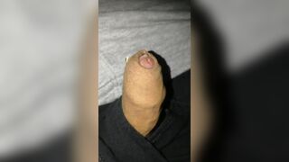 Flaccid precum foreskin play, small growing and shrinking penis play - 4 image