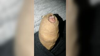 Flaccid precum foreskin play, small growing and shrinking penis play - 5 image