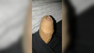 Flaccid precum foreskin play, small growing and shrinking penis play - 6 image