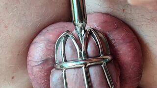 Chastity, urethral fuck close up and slow motion cumshot