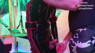 Rubber Gimp In The Sling With CBT and Anal Play Made To Cum With Post Orgasm Torment - 2 image
