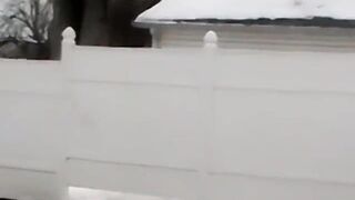 Hung amateur cums in black gays mouth during balls licking