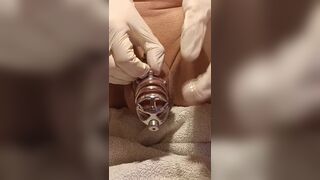 cock sounding and penis cage