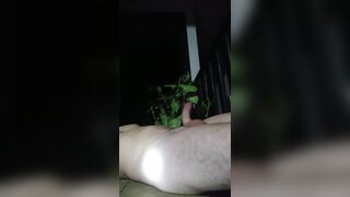 Handsome huge balls presume package and take milk