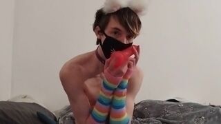 Cute catboy Twink have fun with tail and dildo - 5 image